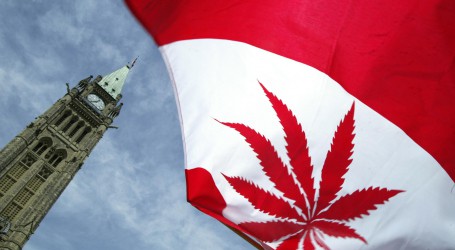 קנסות קנאביס – ממשלת קנדה שוקלת להחליף ענישת מריחואנה בקנסות