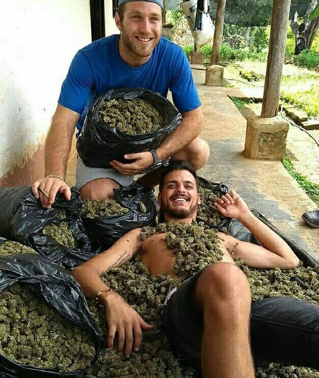 טיולי קנאביס בקולומביה