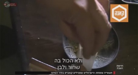 סצינת גידול הקנאביס המחתרתית בישראל