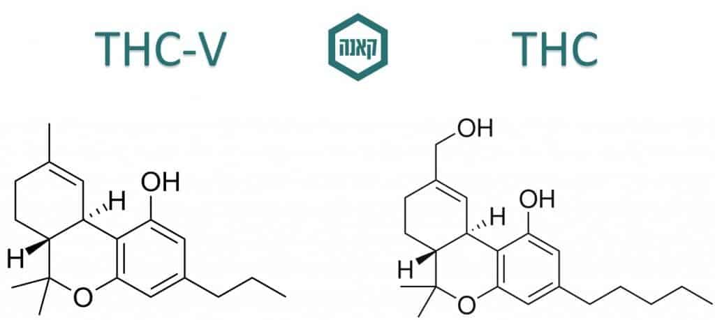 THC-V