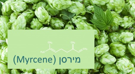 מירסן (Myrcene) הטרפן החשוב ביותר בקנאביס שנפוץ בזני האינדיקה