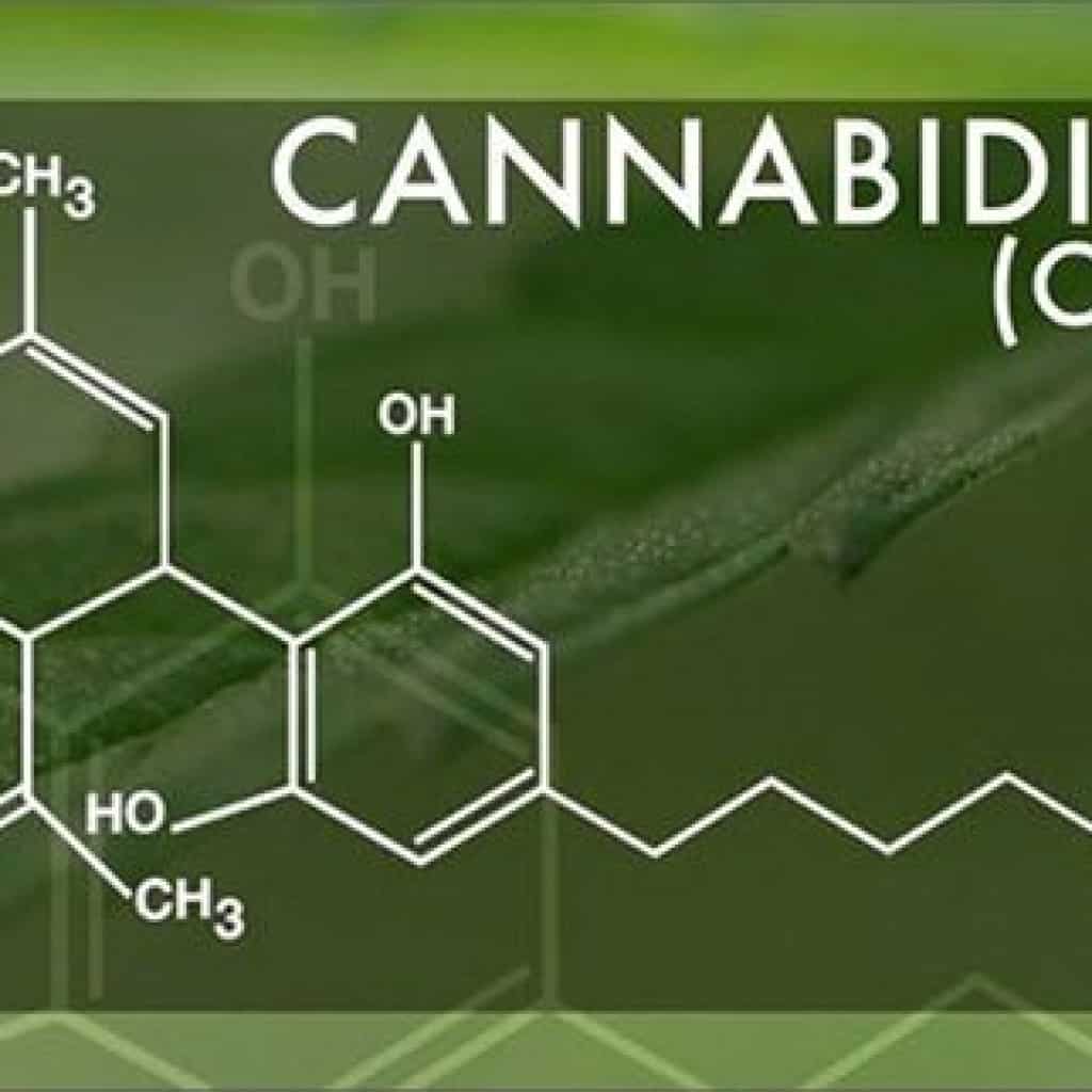 היתרונות הרפואיים של CBD