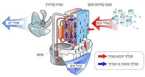 תהליך פעילותו של מייבש לחות, קולט לחות חשמלי