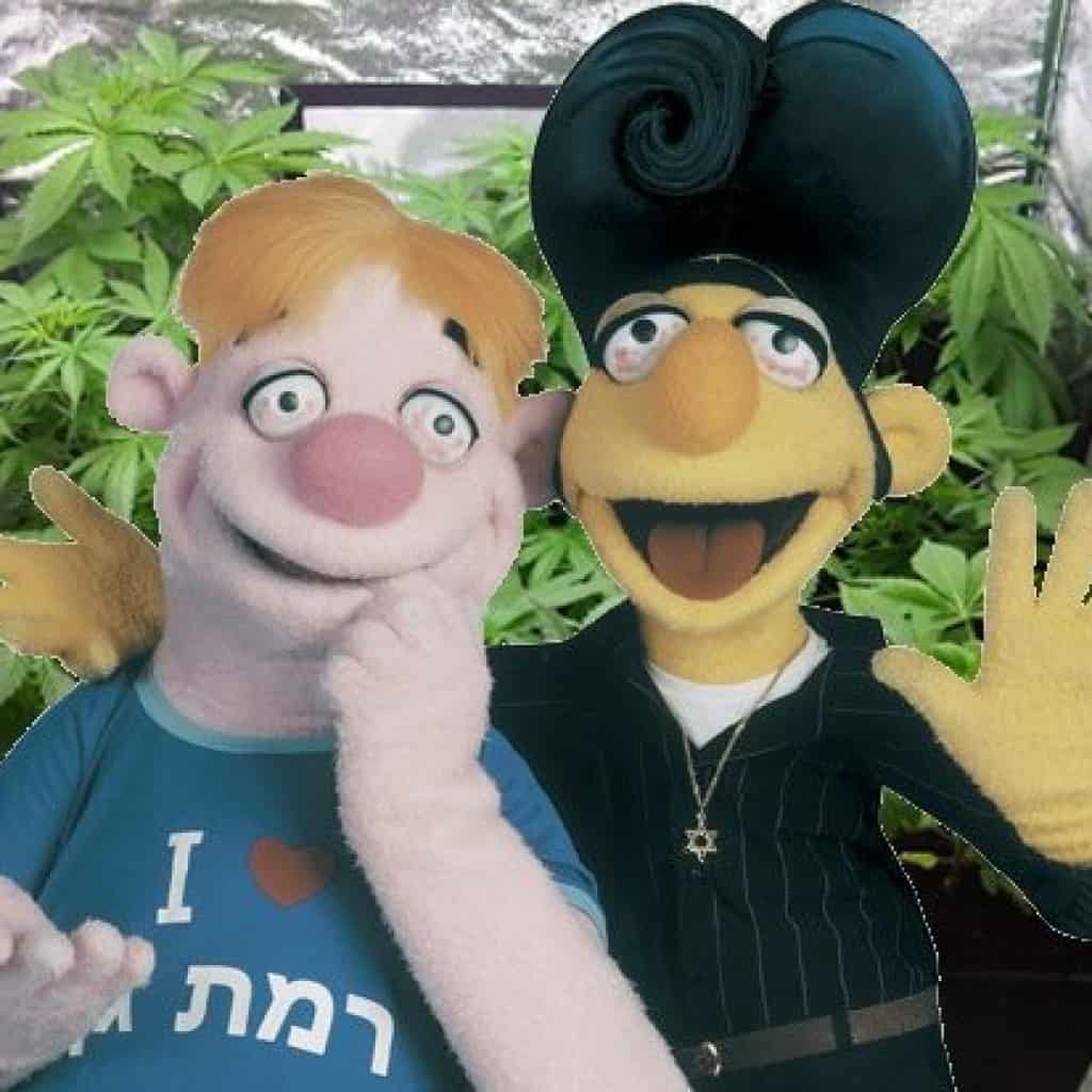 גידול קנאביס עלויות חשמל