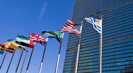 כ״ט בנובמבר של הקנאביס: החלטה היסטורית במועצת האו״ם