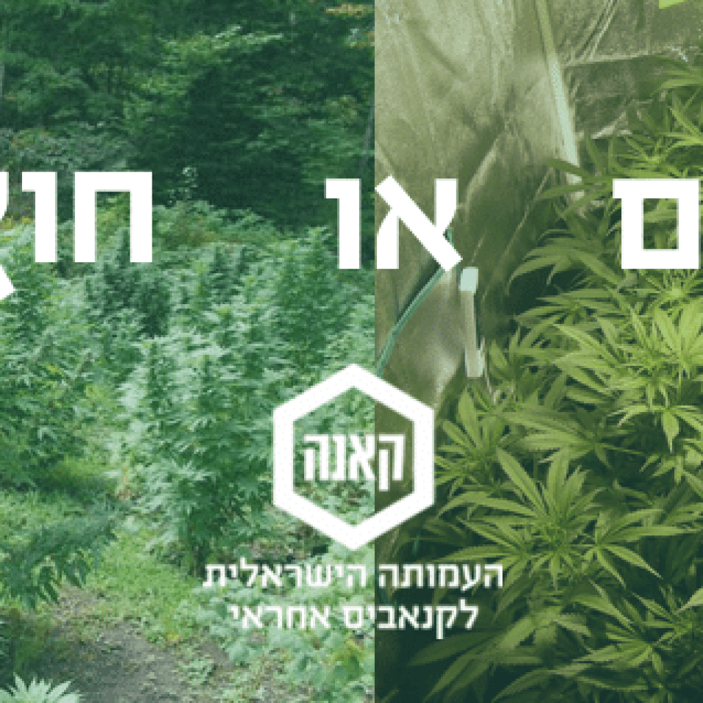 גידול פנים