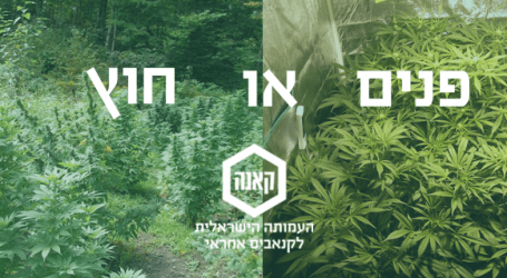 ההחלטה הראשונה: גידול פנים או חוץ?