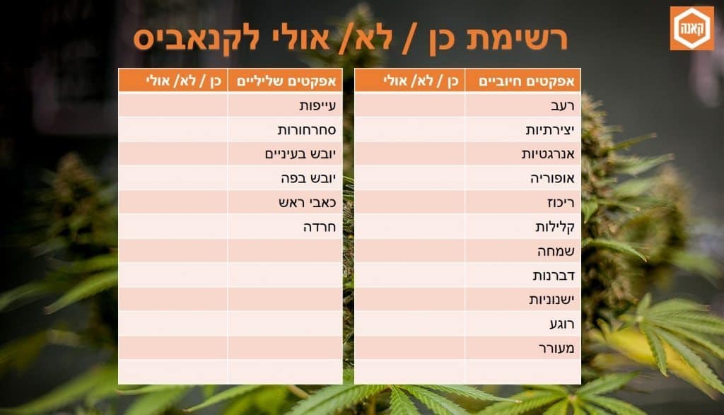 אפקטים