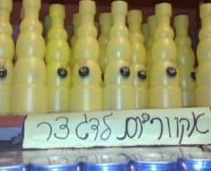 בחלק מהחנויות קוראים לזה 'אגרטל' או 'אקווריום קטן'