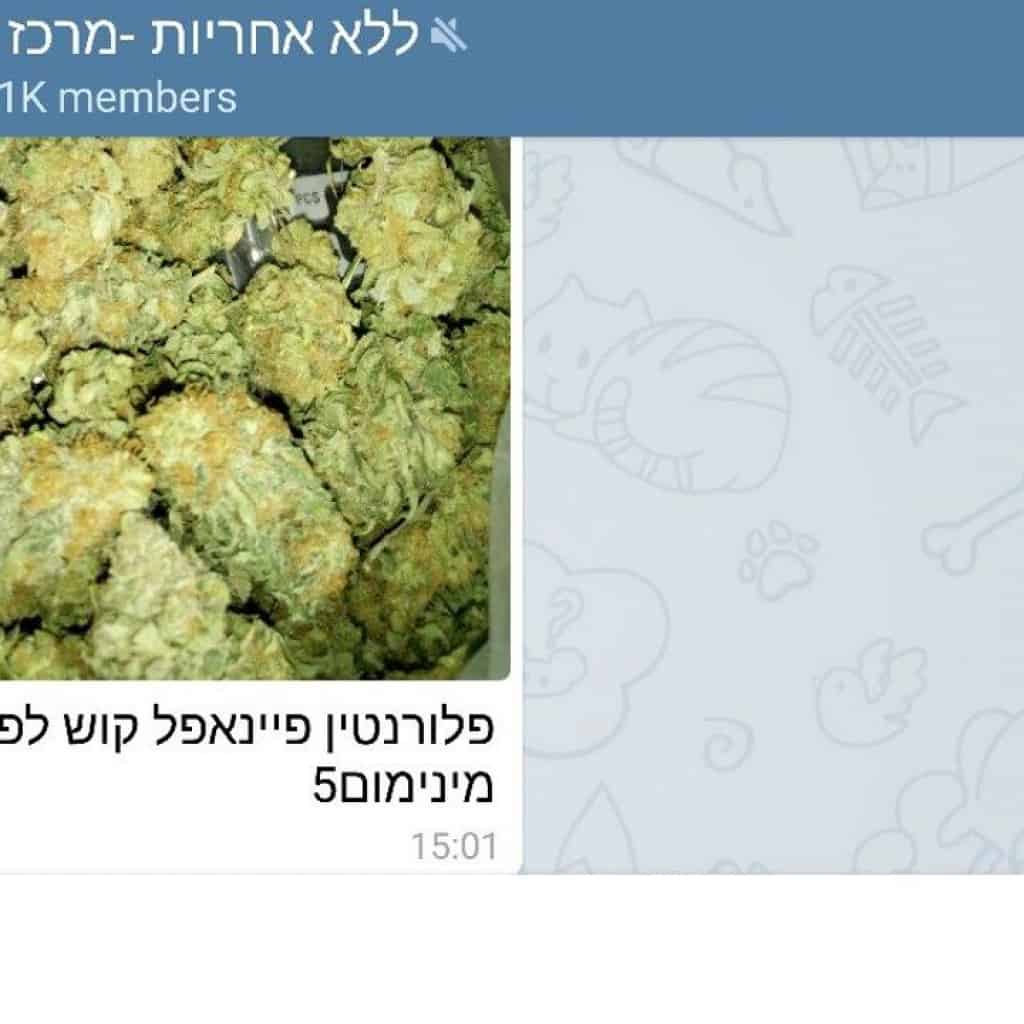 משתמשים בטלגראס