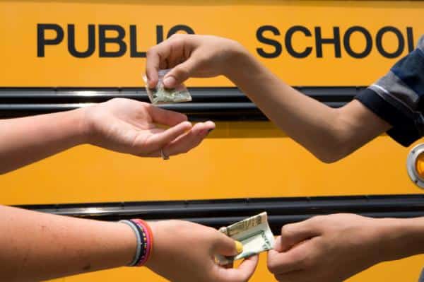 נוער קנאביס 2