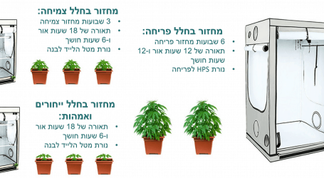 המלחמה בסמים הופכת להיסטוריה