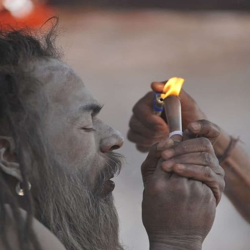 טבק - שימוש דתי ורפואי בטקסים