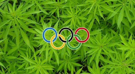 אימון וקנאביס – נפש סטלנית בגוף בריא – כיצד לשלב בין כושר לשגרת העישון?