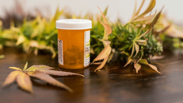 קנאביס רפואי במקום משככי כאבים