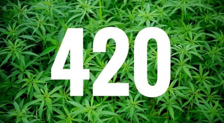 420 שמח!  – מאיפה הגיע הכינוי הפופולרי לצמח?