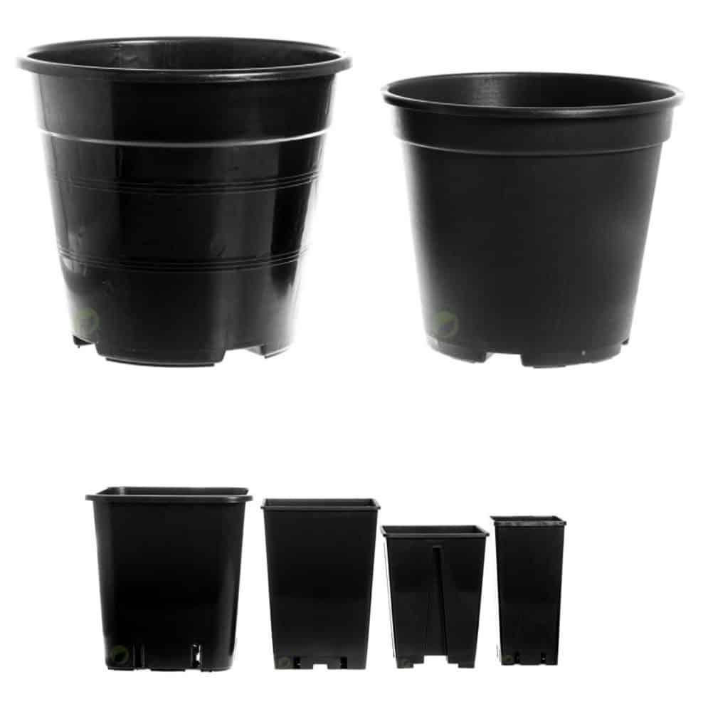 עציץ פלסטיק - גידול קנאביס