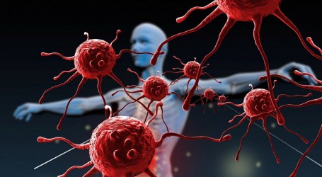 העיקר הבריאות: קנאביס מחזק את המערכת החיסונית