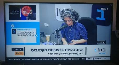 “אני מגדל קנאביס בבית, הבריאות שלי לא מחכה לרפורמה”