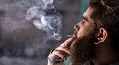 שופטת בפלורידה: “לעשן קנאביס רפואי זו זכות בסיסית”