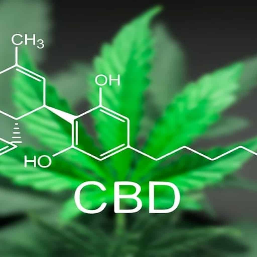 CBD (קנאבידויל)