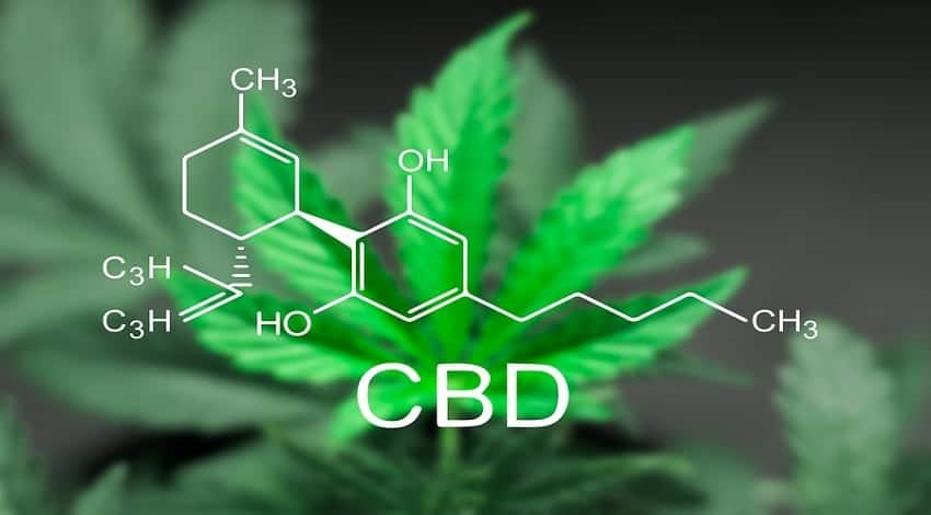 CBD (קנאבידויל)