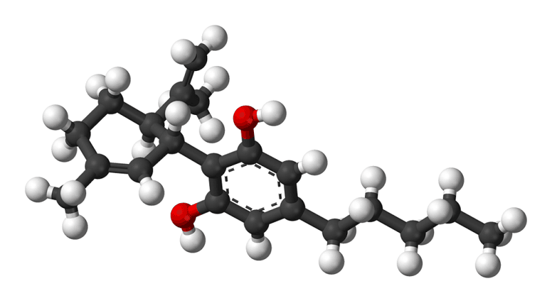 CBD - הקנאבינואיד הרפואי