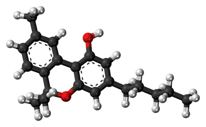 CBD - יותר מדי יעשה לכם רע