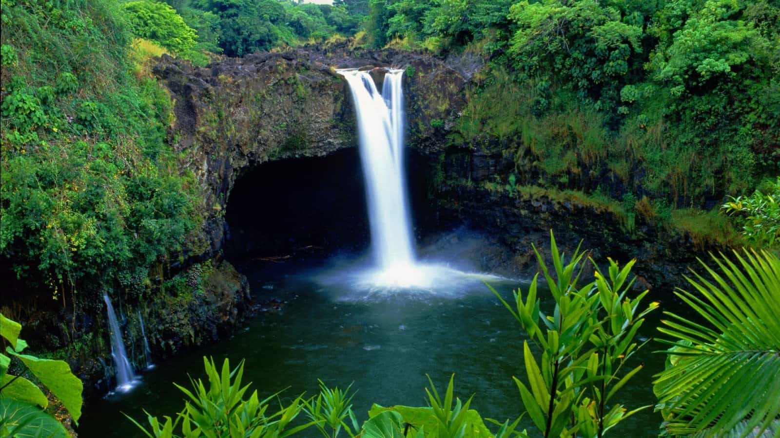 גן עדן הוואי - עכשיו גם עם קנאביס רפואי חוקי