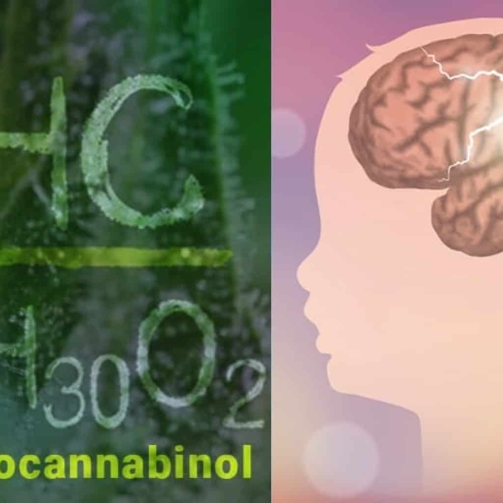 THC ו-CBD לטיפול באפילפסיית ילדים