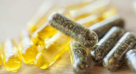 טרנד חדש על המדף: מהן טבליות THC ולמה משתמשים בהן?