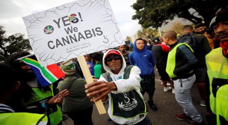 דרום אפריקה: בוטל האיסור על קנאביס, והלגליזציה בדרך