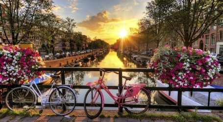 אמסטרדם למביני עניין – קופישופס איכותיים שחובה לבדוק