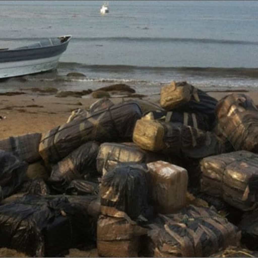 במקום מדוזות - חוף בפלורידה הוצף בחבילות קנאביס