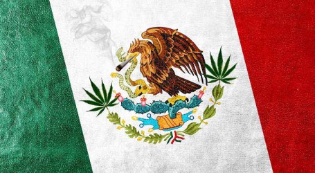 אי הפללה במקסיקו: בית המשפט הניח יסודות ללגליזציה
