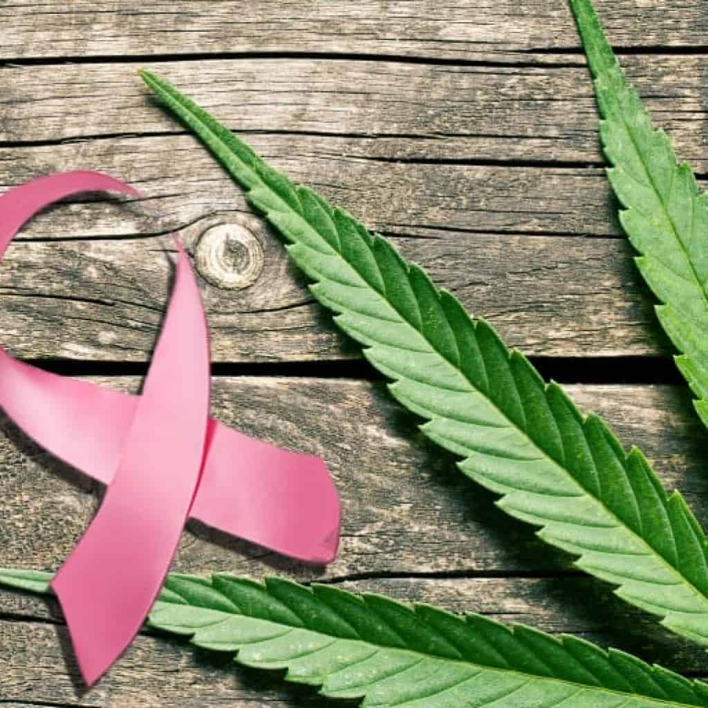 מחקר מראה: CBD מונע התפתחות גרורות סרטן השד