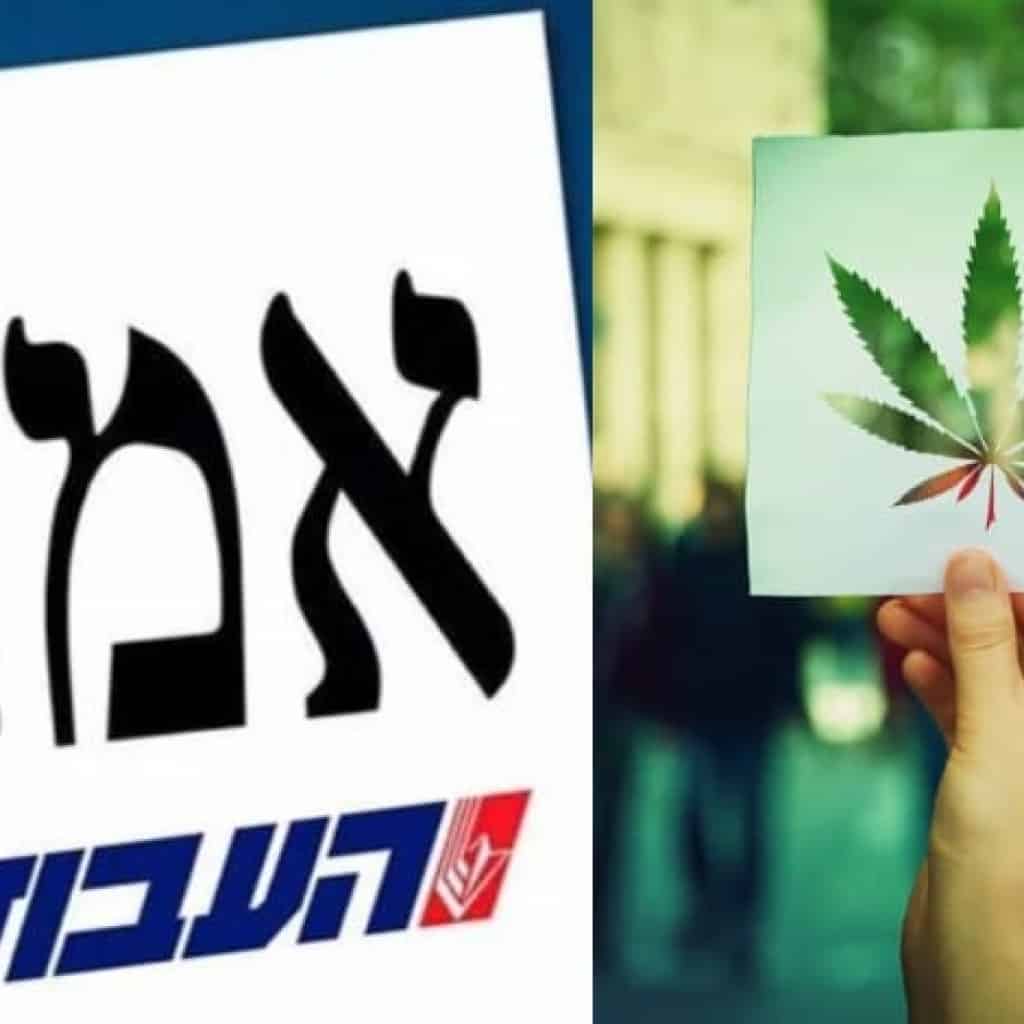 מפגלת 'העבודה' מצטרפת לקריאת הלגליזציה