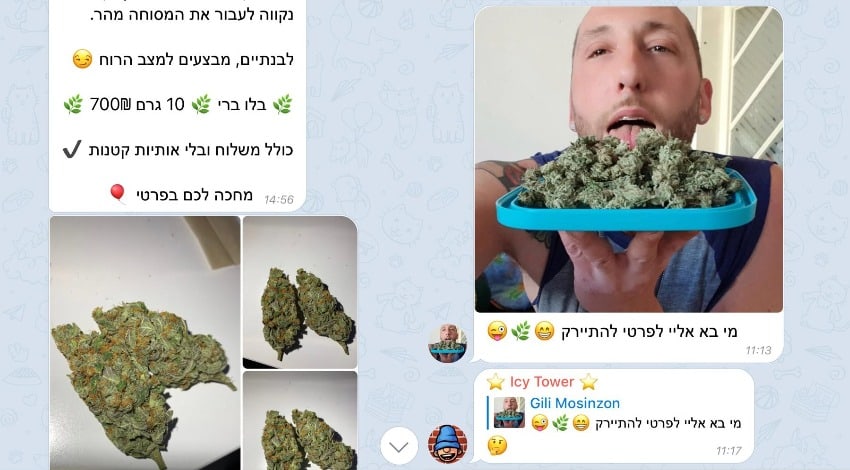 האם רשת 'פאפיז' סוחרת בקנאביס בטלגרם?