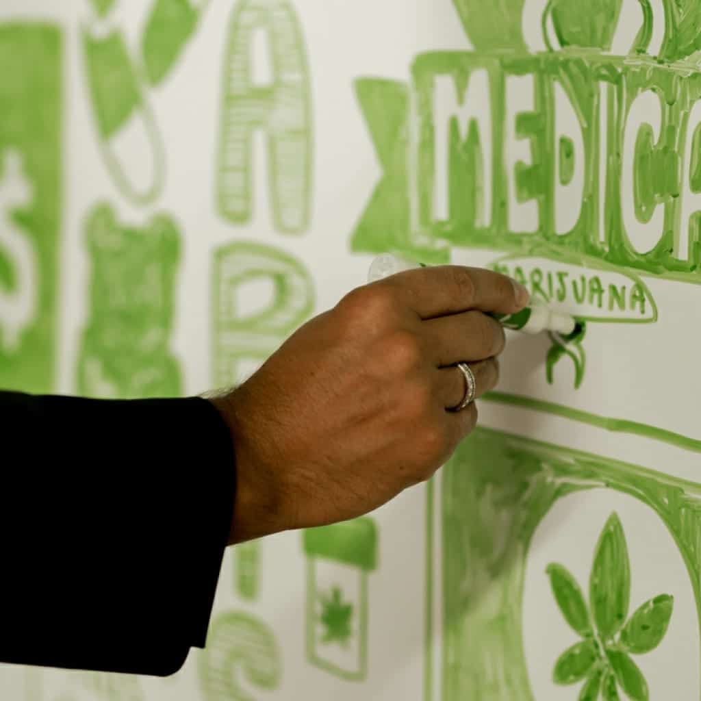 לימודי קנאביס בארץ ובעולם - המסלולים לעתיד בתעשייה הירוקה