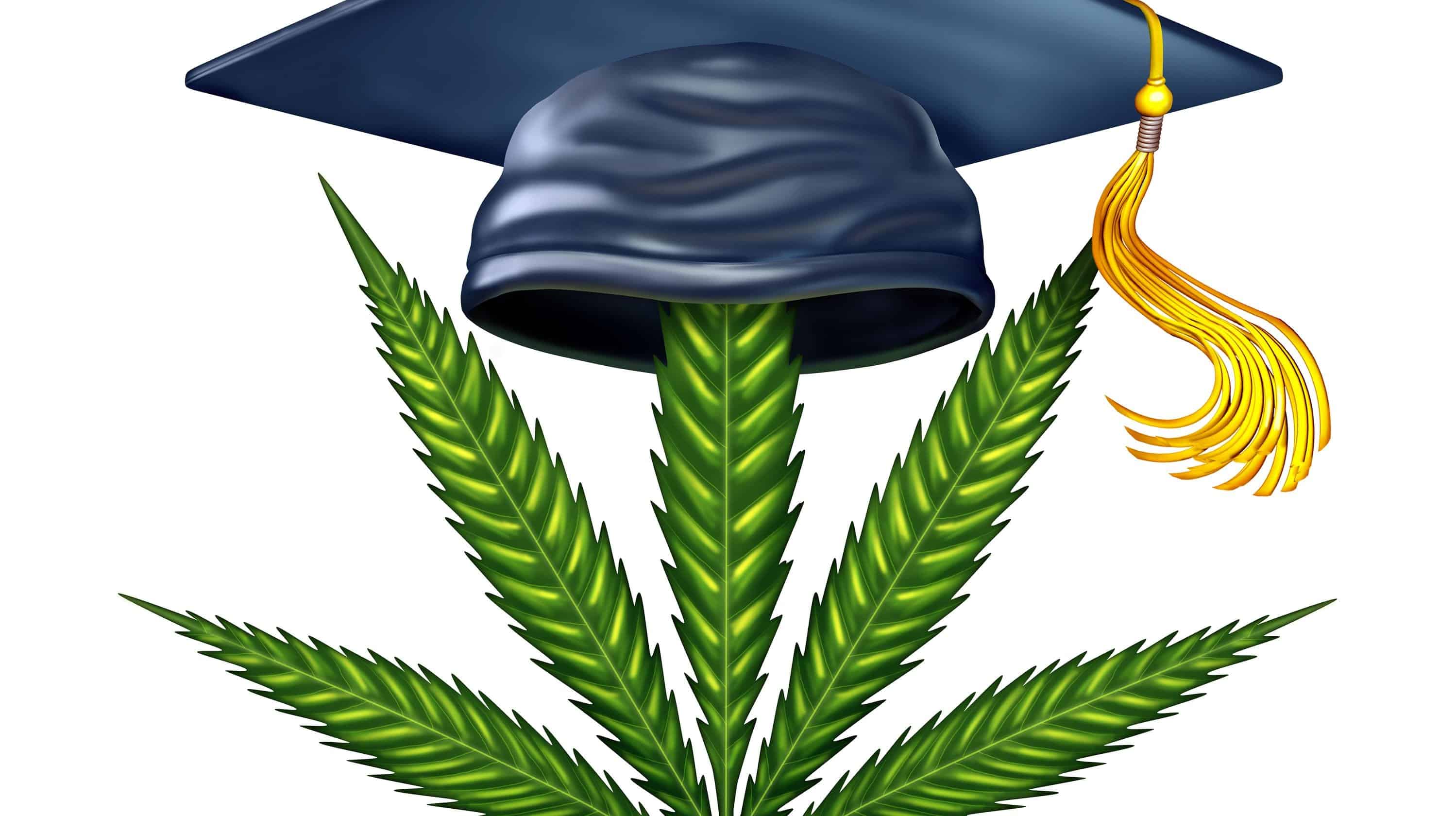 לימודי קנאביס בארץ ובעולם - המסלולים לעתיד בתעשייה הירוקה