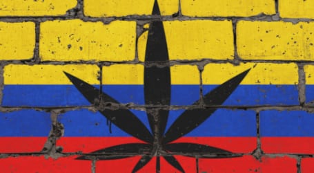 קולומביה וקנאביס – השקעות בעולם הקנאביס – קולומביה בדרך ללגליזציה מלאה במדינה