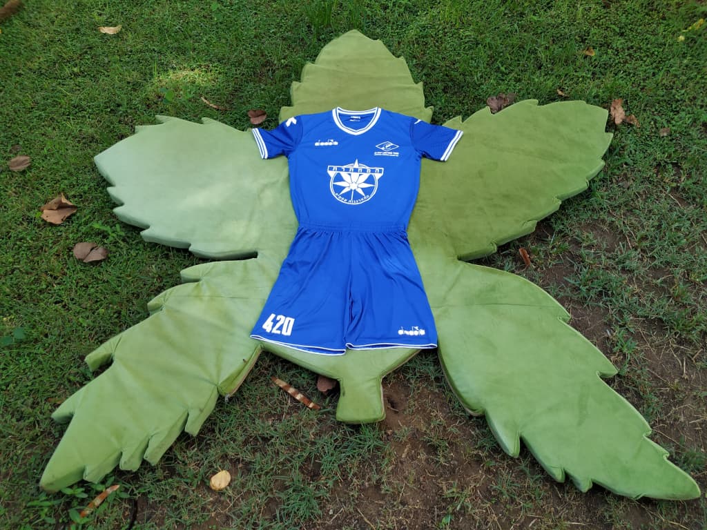 קנאביס בכדורגל