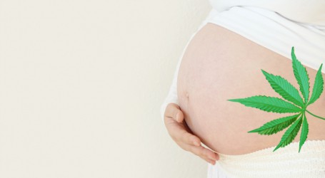 קנאביס בהריון – בקליפורניה החליטו במפתיע: THC מסוכן לנשים בהריון