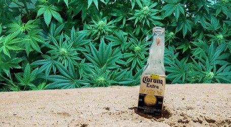 ענף הקנאביס – סקירה שבועית לתאריך 11/3/2020 קנאביס וקורונה!